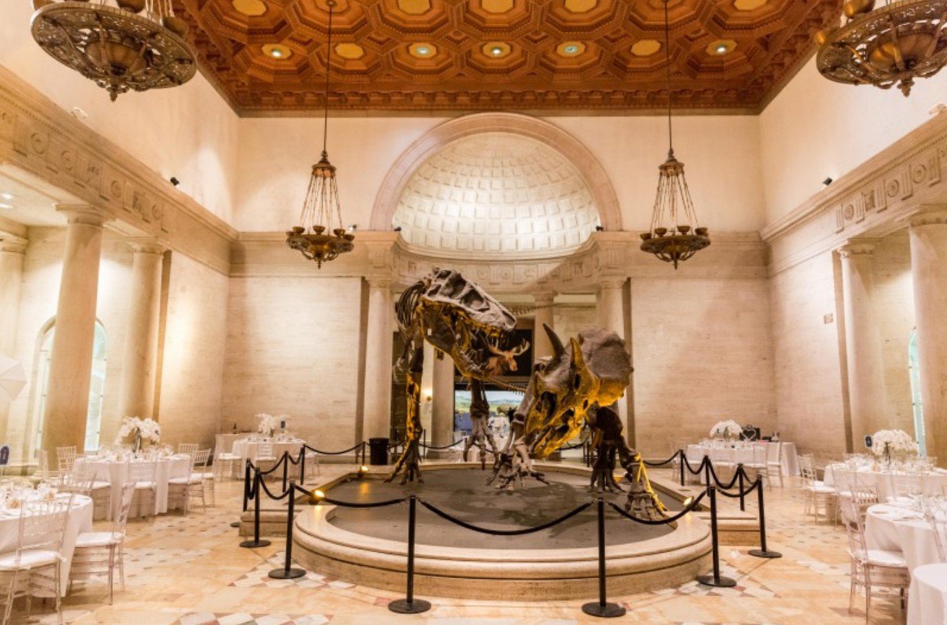 Natural History Museum Museum Gallery In Los Angeles CA The Vendry